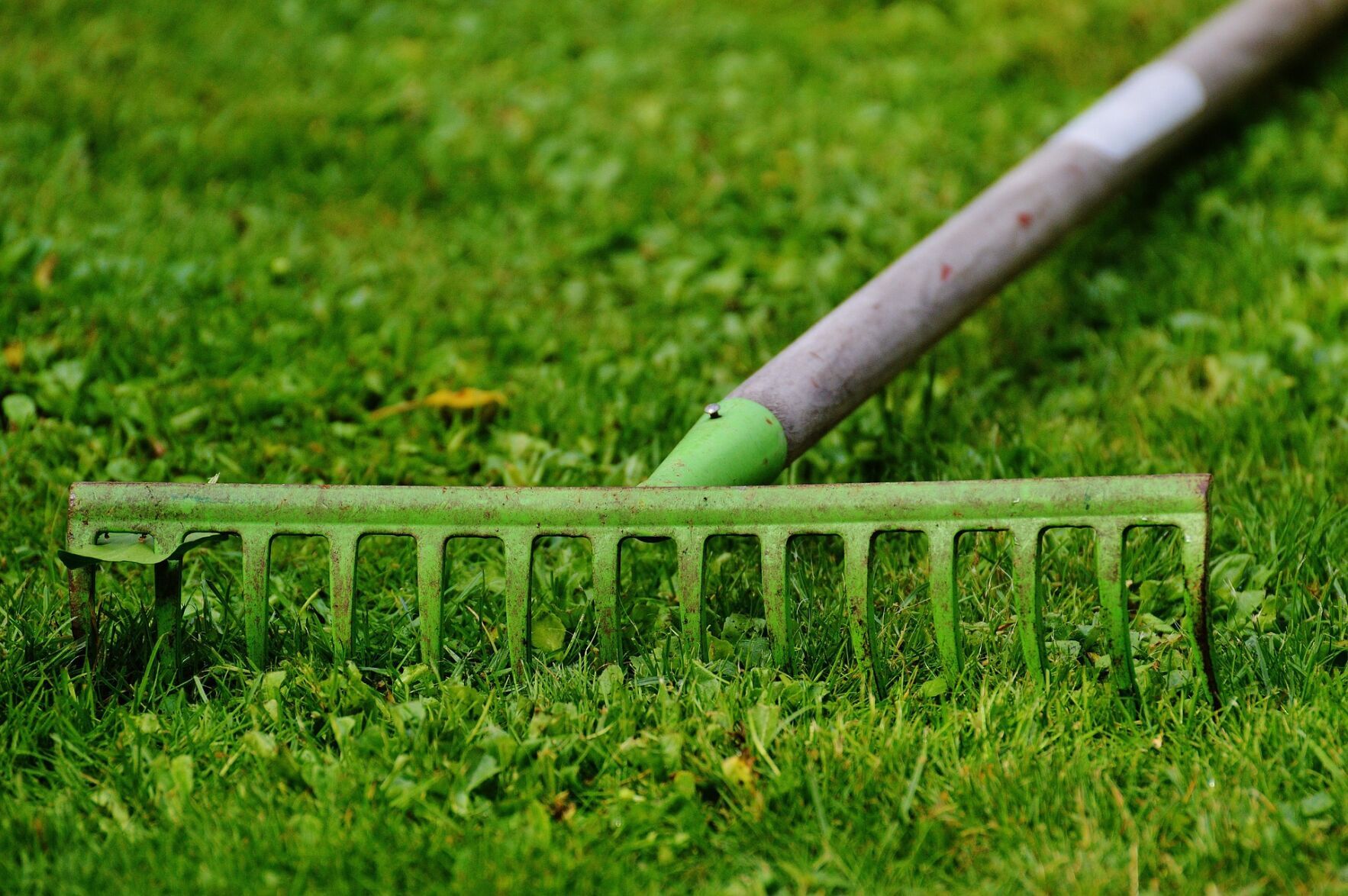 Rake